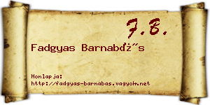 Fadgyas Barnabás névjegykártya