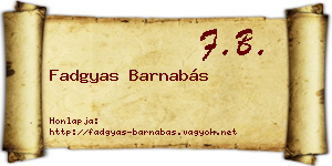 Fadgyas Barnabás névjegykártya