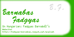 barnabas fadgyas business card